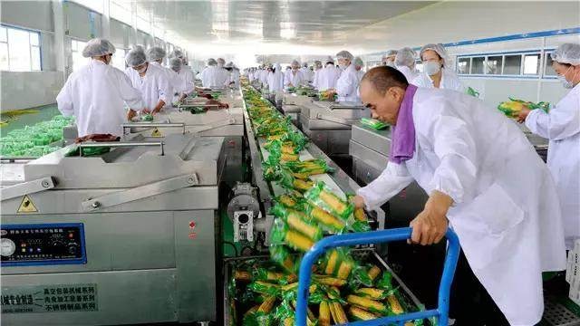 从田间到舌尖的增值密码 农产品深加工如何开启致富新路