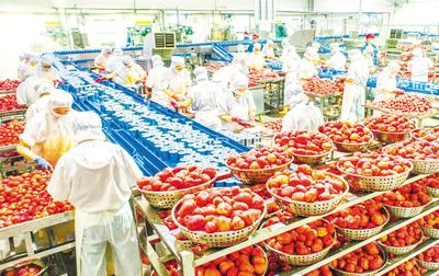 湖北农产品加工业规模壮大，产业链融合发展稳步推进