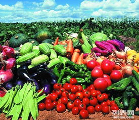 东莞工厂食堂一体化餐饮服务解决方案 蔬菜配送、食堂承包与粮油农产品供应