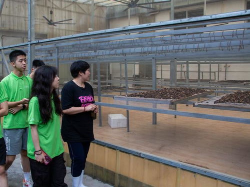 白河远航，数智扬帆——西北大学调研队助力农产品升级与农民数智技能提升