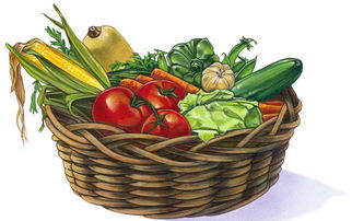 节后菜市场行情速递 农产品价格稳中有变，市民选购更理性